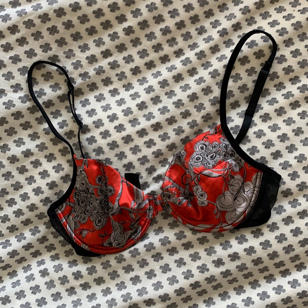 Andres Sarda Silk Bra 36C/ 34D